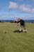 Highland Gathering 2007 (106)