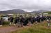 Highland Gathering 2007 (25)